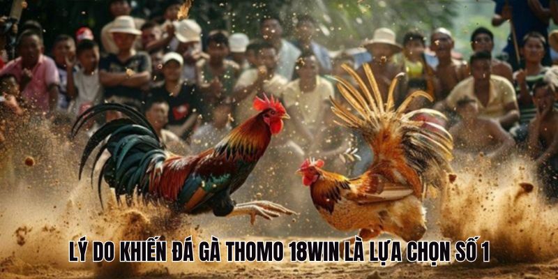 Ưu điểm nổi bật tại đá gà Thomo 18Win